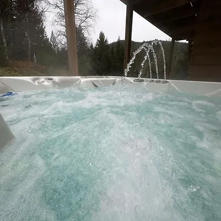Apartment Jardin De L'ancienne Ecole Avec Jacuzzi Prive Gerardmer
